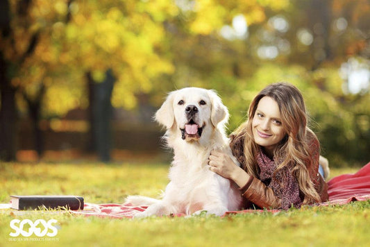 7 natural wellness care tips for your dog - Soos Pets