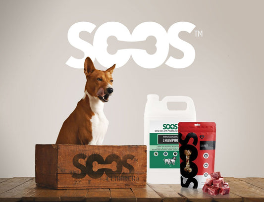 Soos Wellness - Treats made to work in complex with the Soos Pets Shampoos and Conditioners. - Soos Pets