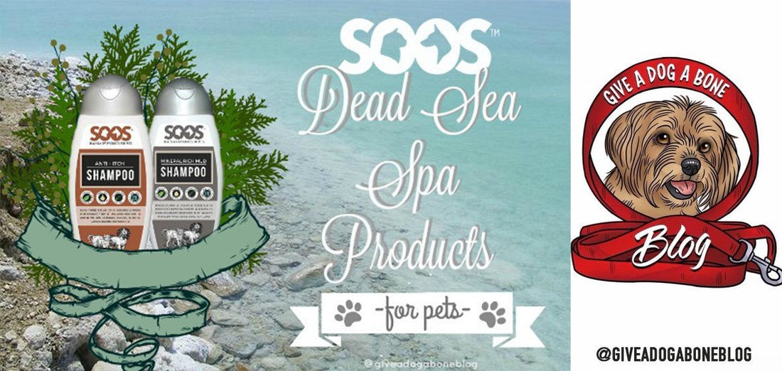 Tackle The Winter Itch With Help From The Dead Sea - Soos Pets